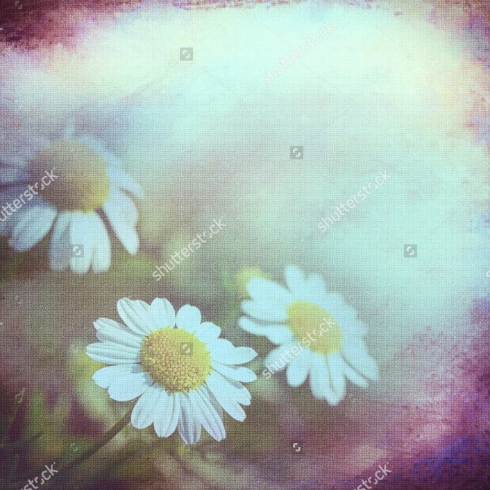 Floraaplus's tweet photo. https://t.co/8KGdmnUefM #RetroBackground On A Rough Cloth, #Camomiles, Azure. The #Ancient #Textured Background. #Shutterstock @Floraaplus https://t.co/TMdnPHCLA6