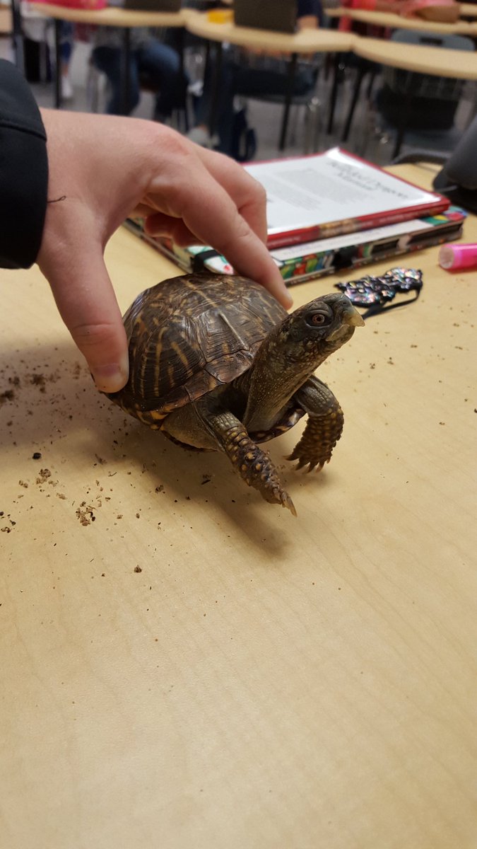 Braswell_FFA's tweet photo. Future zoo crew!!! #BHSBengalsCTE #CharteringSuccess #dentonisdFFA https://t.co/YTA9EybR2B