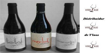vinossalud's tweet photo. El #vino , como este Merlot de @VinosBio , es poesía embotellada.
#vinossalud #DistribuidordeVinos https://t.co/l8JGZ9ojDJ