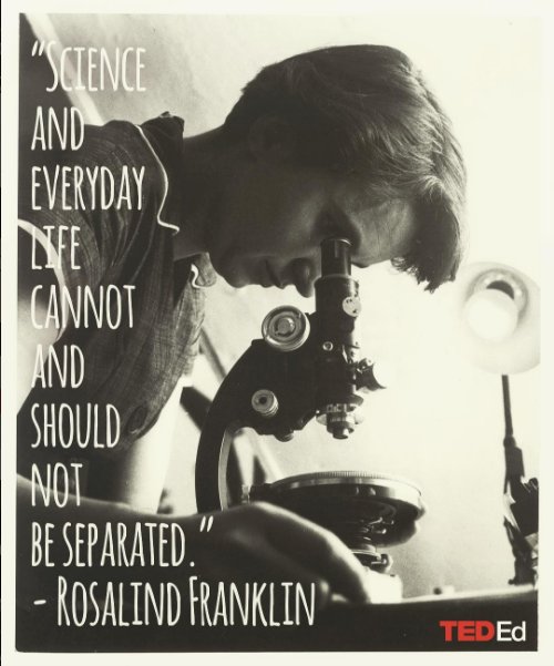 TED_ED's tweet photo. Words spoken by one of the scientists responsible for the discovery of the double helix, Rosalind Franklin: https://t.co/rk2D08RdmR