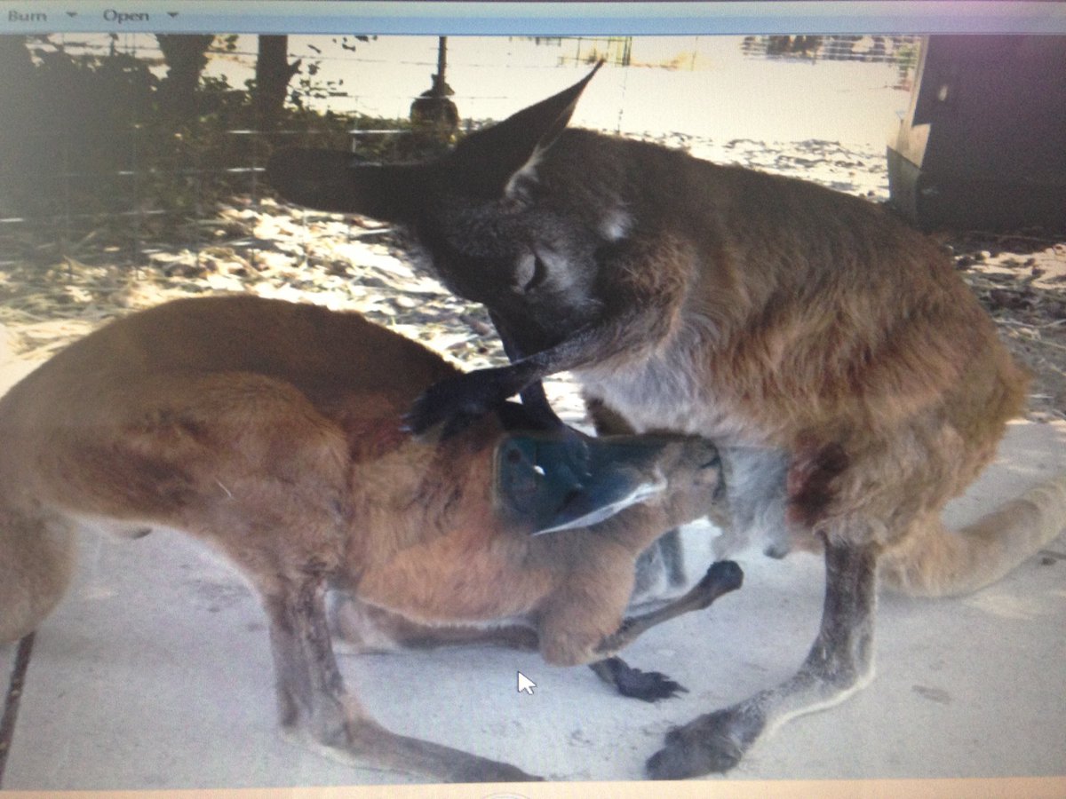 jsruf87's tweet photo. Vote for my picture here :   https://t.co/poyaDA3pEL. https://t.co/Ycn06EABc9