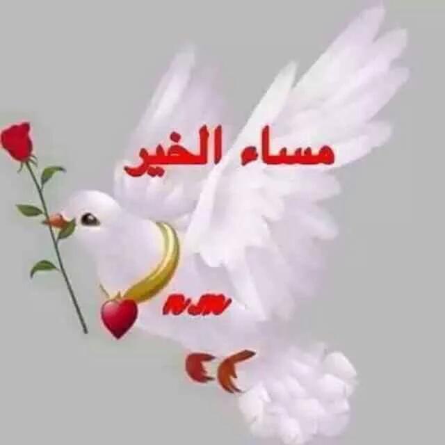 مساء الخير على جميع المتابعين
