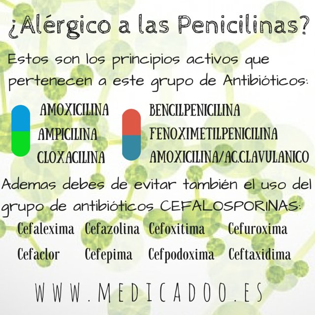 que puede tomar una persona alergica a la penicilina