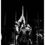Photo by Rob Scott (@robj_scott)