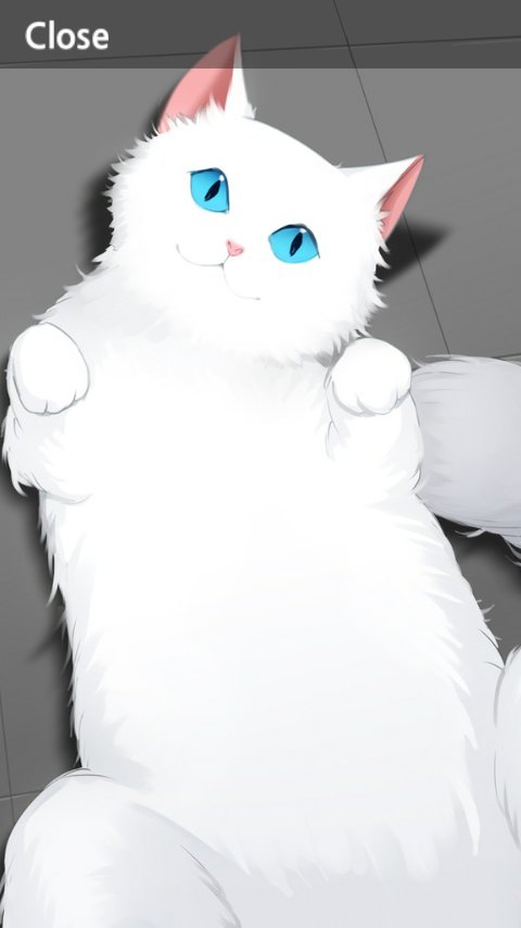 707_error_ tweet picture