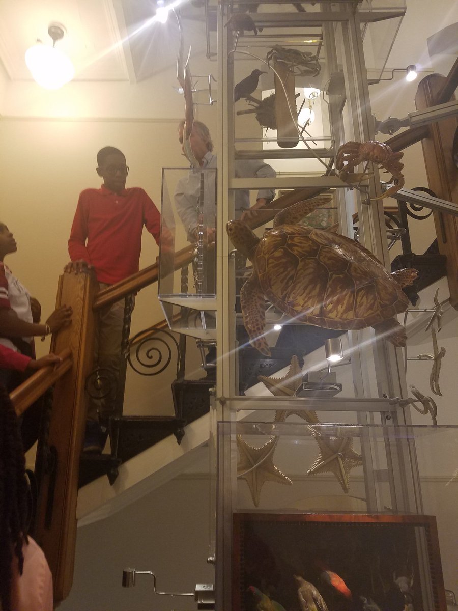 StuartHobsonSEM's tweet photo. Behind the scenes at the Smithsonian Castle... https://t.co/IcG1C6M78e