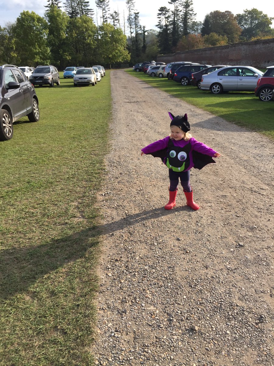 localmummy's tweet photo. Bat costume at the ready for Halloween and only cost £4.99! Don't forget to buy or make yours soon.... #halloween #kidshavingfun https://t.co/ubMnCvGQIY