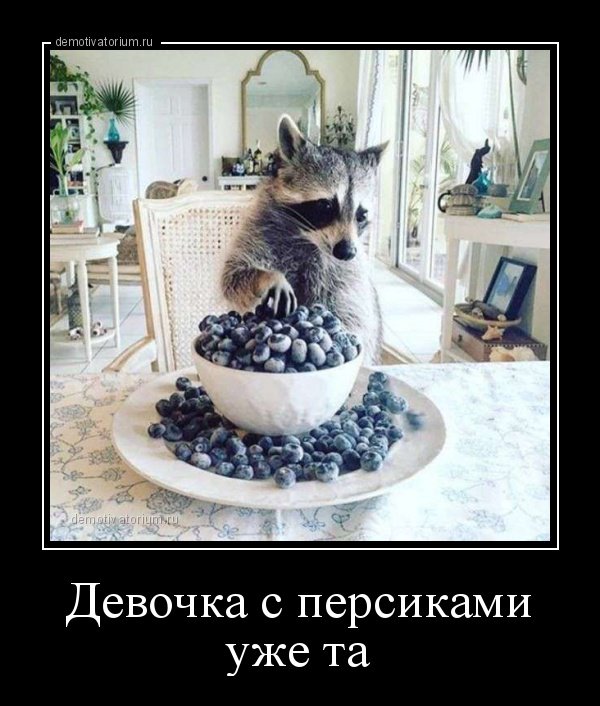 Dialog340's tweet image. 