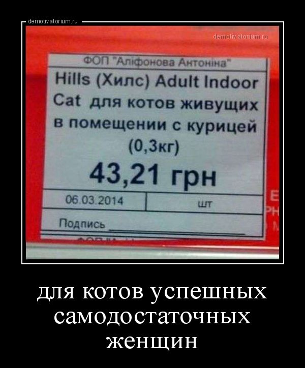 Dialog340's tweet image. 