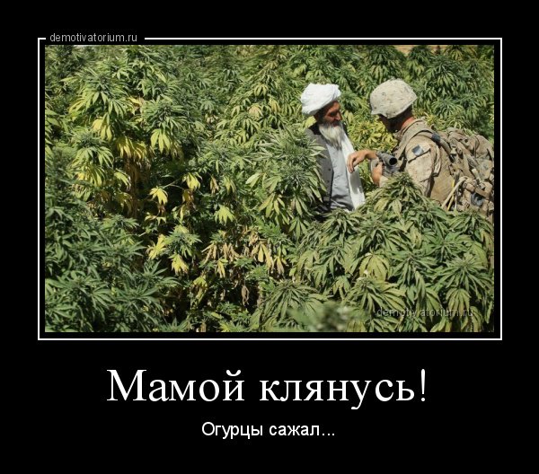 Dialog340's tweet image. 