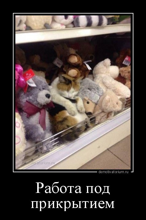 Dialog340's tweet image. 