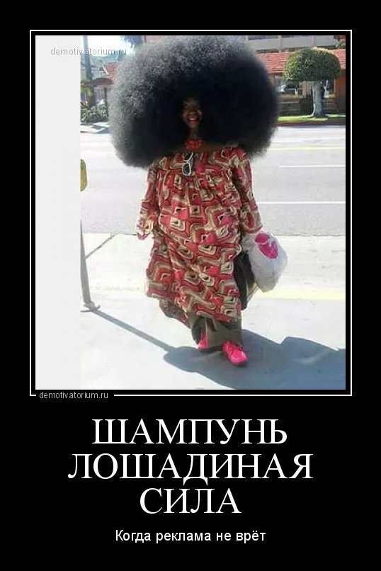 Dialog340's tweet image. 