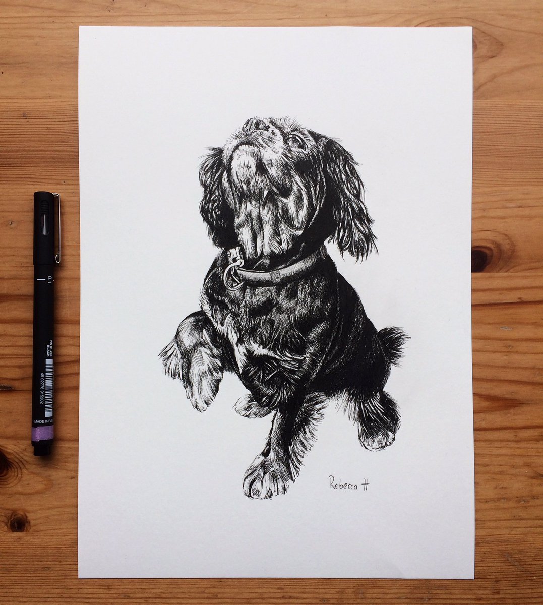 Little Fern tweet media