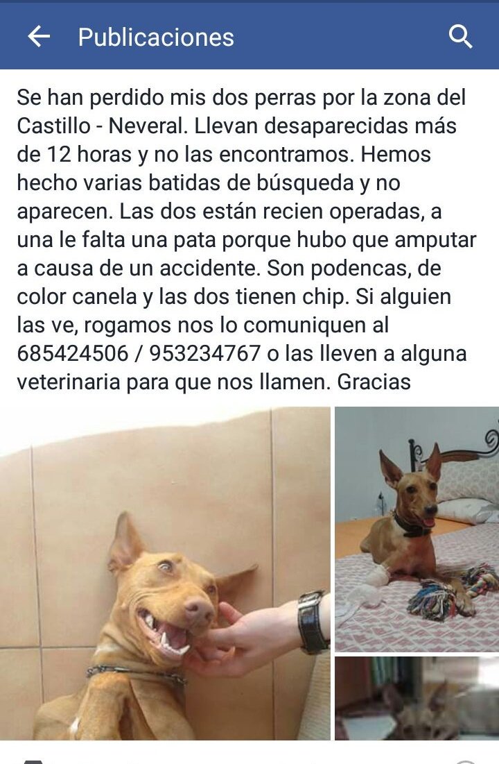 Gente de #Jaen vamos a echar una mano a esta paisana <a href="/ponpimpampum/">Pon Pim Pam Pum!</a> <a href="/elCreata/">el Creata</a> <a href="/75Slam/">20Conmigo 🔻🏳️‍🌈</a>