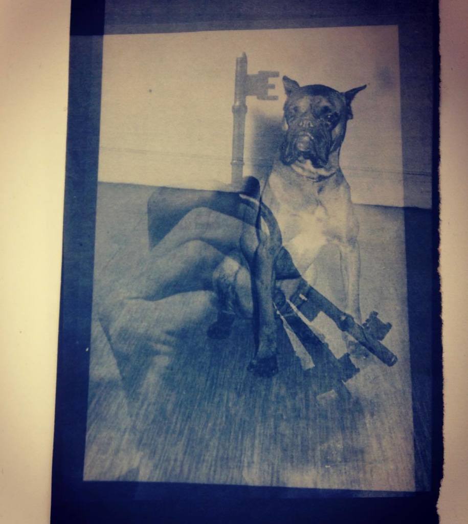 archive_artist's tweet photo. Double exposure cyanotypes from archive negatives @sthlibrariesandarts #sthelenslens https://t.co/5d3yk4KbGe