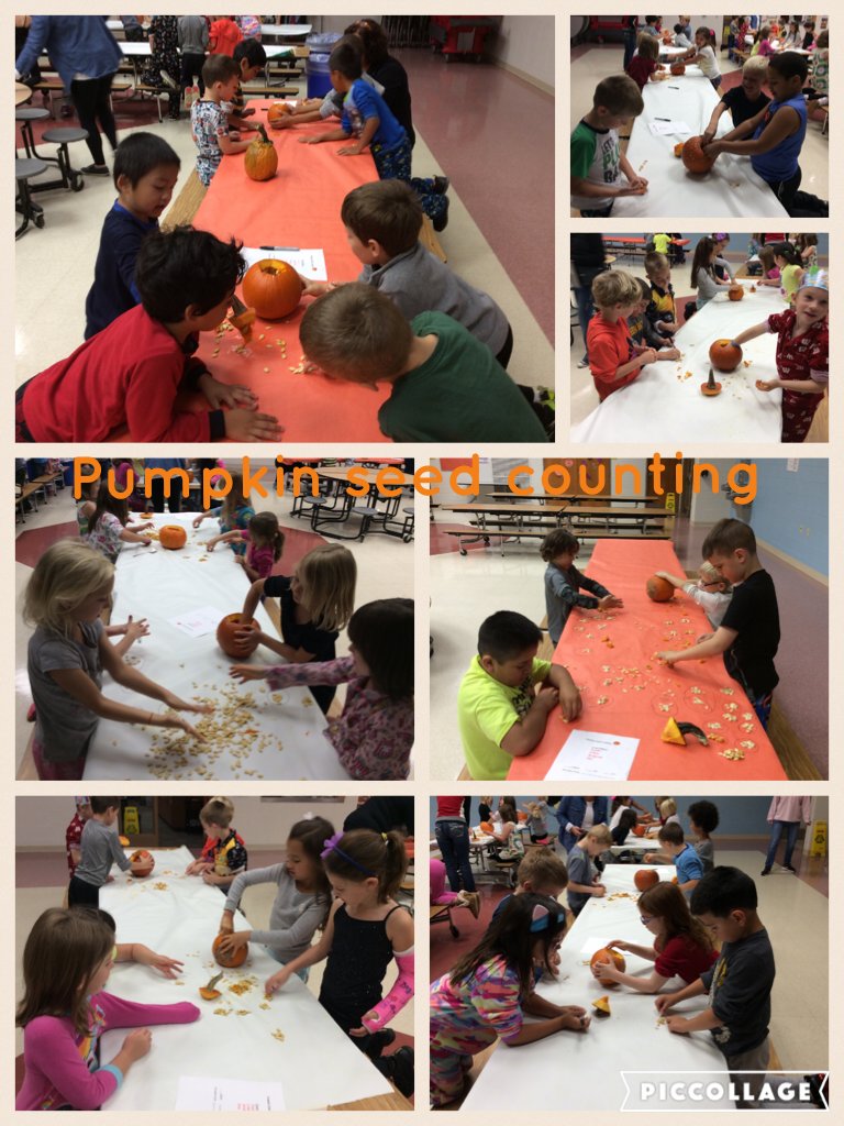 MarkoJackie's tweet photo. @Pcsd_hc 1st Graders practice math skills while counting pumpkin seeds! #raiderstro https://t.co/IUgzS1SaWy https://t.co/t2h6DPZBCS