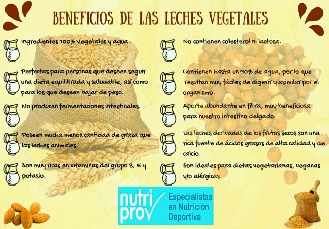 NutriproJaen's tweet photo. ALTERNATIVAS VEGETALES A LA LECHE ANIMAL Y SUS BENEFICIOS❗🍼🌿

🔹Fácil digestión
🔹Alto contenido en fibra
🔹Bajas en grasa
❌LACTOSA
❌COLESTEROL https://t.co/ZBZ3sfqczn