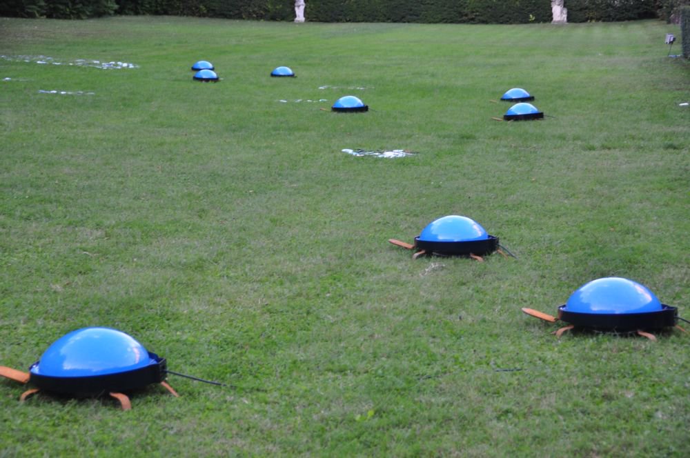 luciinriviera's tweet photo. Anche le #tartarughe hanno partecipato a #luciinriviera. Vuoi partecipare all'edizione 2017? Seguici su https://t.co/0boPoni7Nc https://t.co/7MQkiGxa8Z