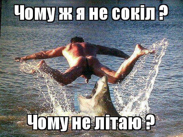 Dialog340's tweet image. 