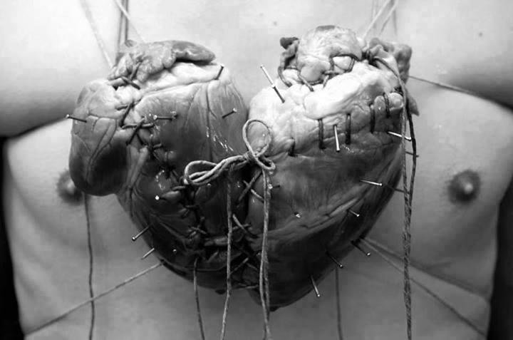 datos_curiosos's tweet photo. Sabías que...La forma tan conocida del corazón que dibujamos, se debe a la unión de dos corazones https://t.co/vACJ3O5Hqe