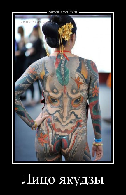 Dialog340's tweet image. 