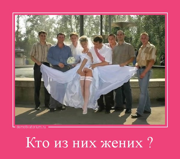 Dialog340's tweet image. 