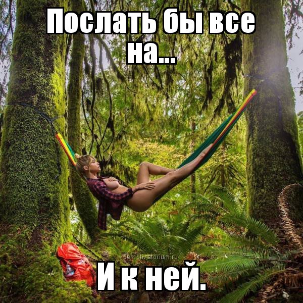 Dialog340's tweet image. 