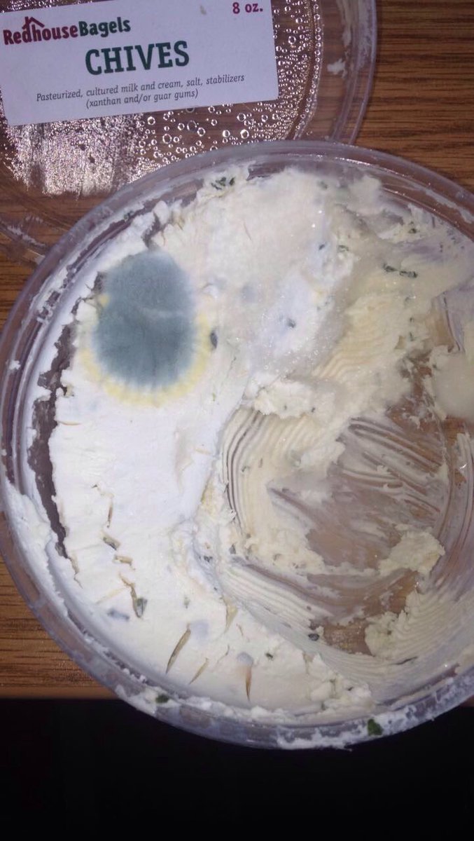 gabbysageee's tweet photo. Food microbes attacked #biophilm @ProfKlase @jeheindl https://t.co/jmObyMPxTr