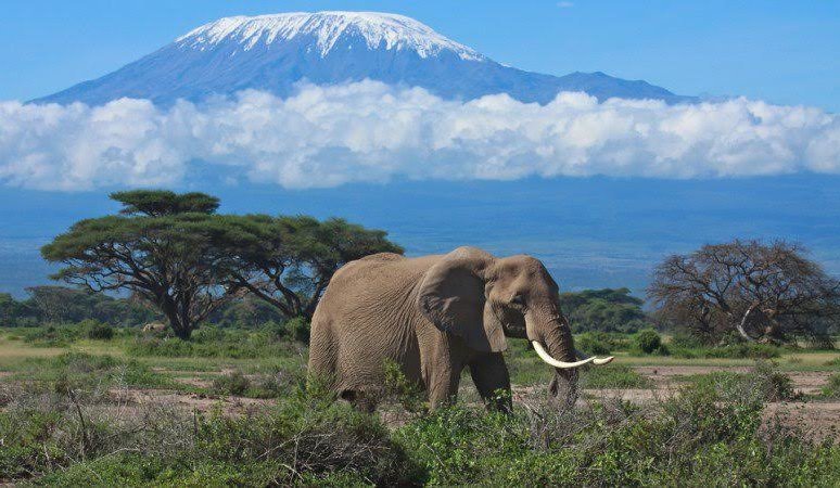 Climate Change Solutions for East Africa’s Mountainous Regions mtnforum.org/content/climat…