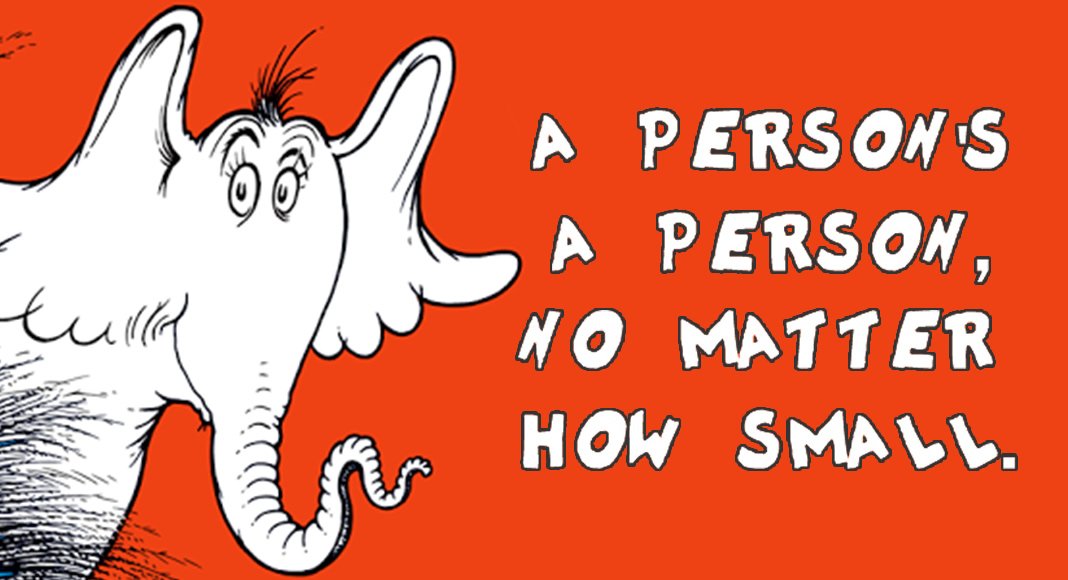 sbaprolife's tweet photo. A person's a person, no matter how small. #ProLife #WednesdayWisdom https://t.co/Ar72mgbjyZ