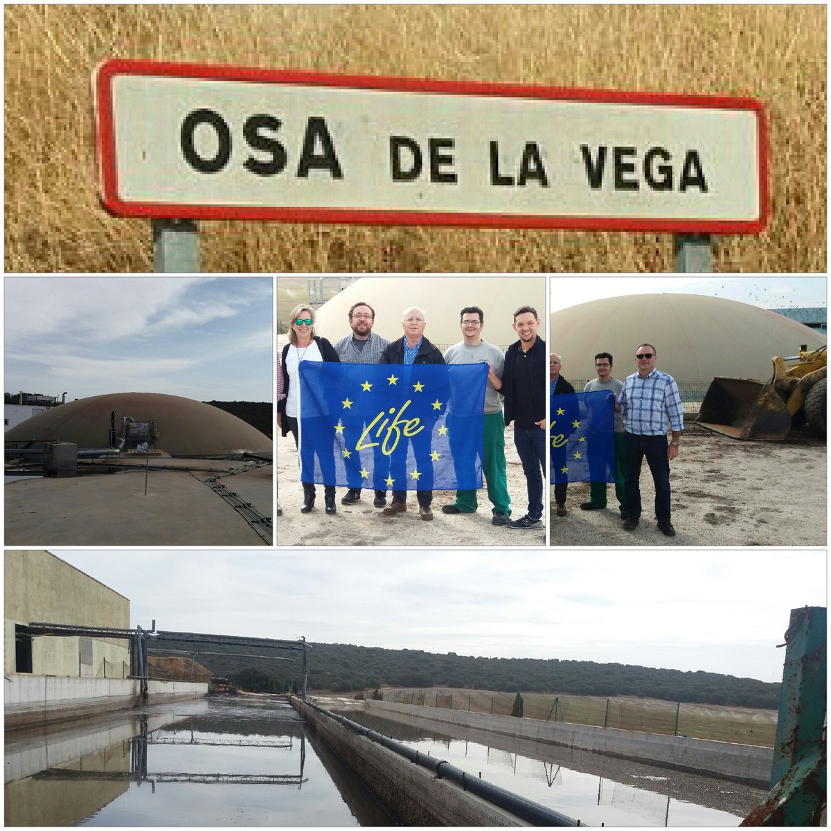 LIFE_Lemna's tweet photo. On site activities for duckweed production at Exporinsa @LIFE_Programme @ainiatecnologia https://t.co/158h9Cc807