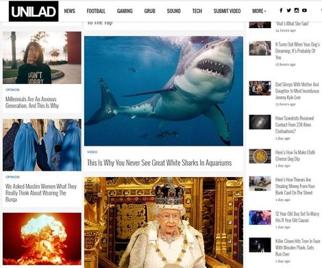 HanifinLoyalty tweet media