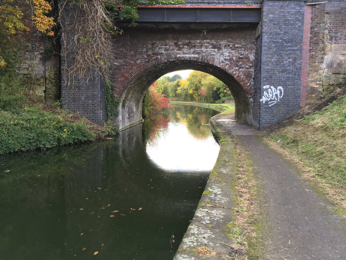 LucybCRT's tweet photo. Sometimes a seat in the right spot is all it takes for someone to have space to think #PocketCanalAdoption ideas https://t.co/QgZiGIjqKZ