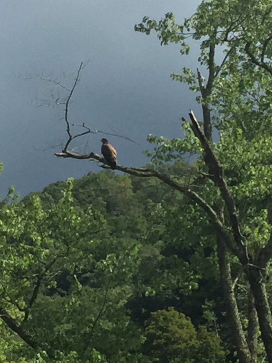 Bryan Alderman tweet media