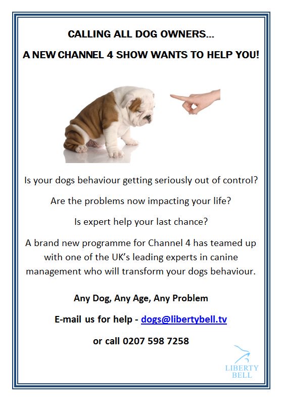 Dogissues4's tweet photo. @SurreyAd We're looking for dog owners to take part in a new TV pilot - we'd love an RT! Thank you! https://t.co/Aqu5gSHknV