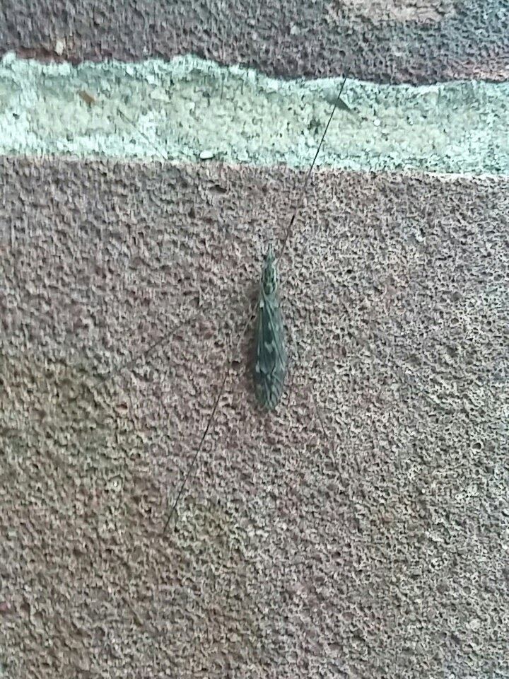 C_S_Hewitt's tweet photo. Found this, anyone got any ideas what it is? #MSCSISS https://t.co/5YYFw0tZCp