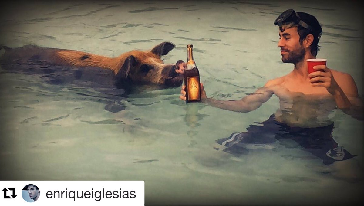 AtlanticoRum's tweet photo. #happyhumpday #mood #atlanticorum #enriqueiglesias #rumluck @atlanticorum #rum @enriqueiglesias https://t.co/42AKrbYSCs