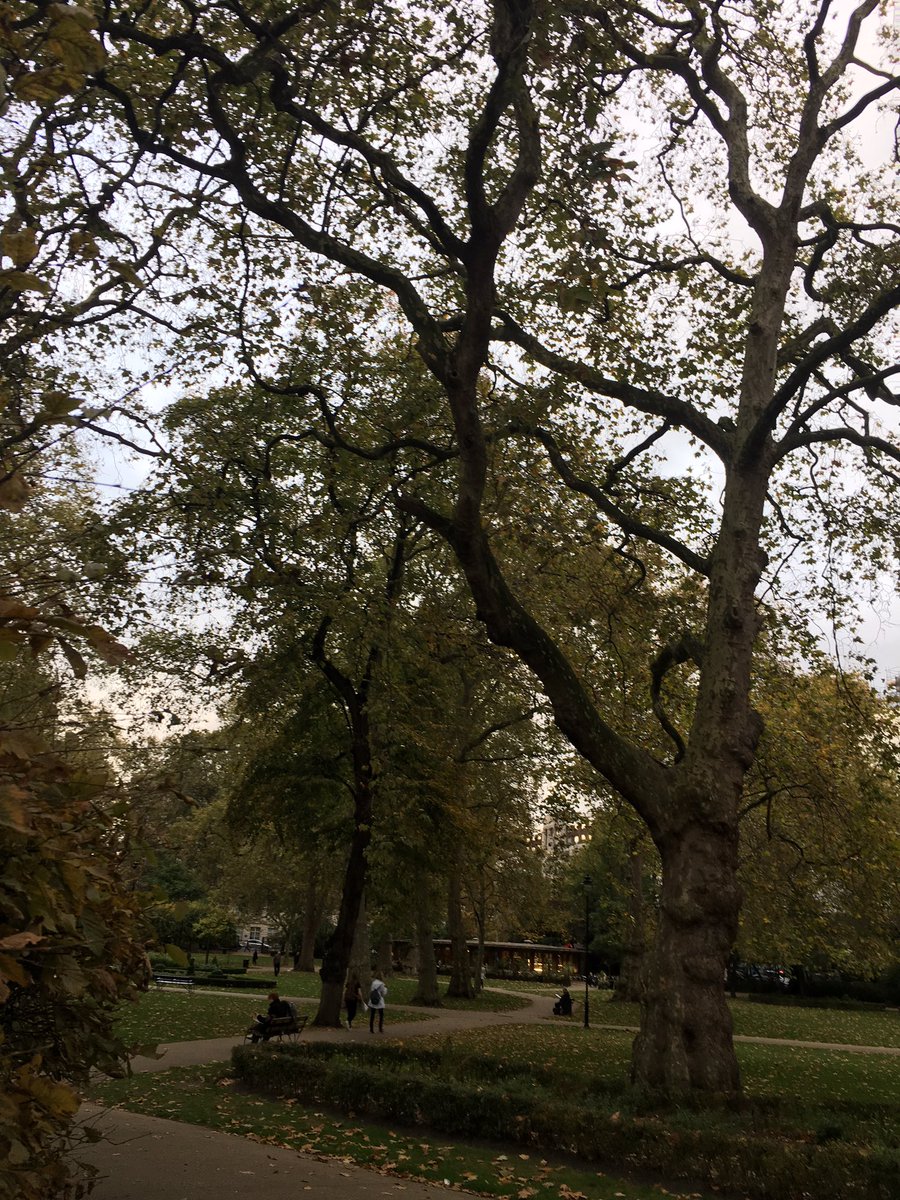 Write_Stars's tweet image. Lots of lightbulb moments at @DannieLu Carr's @CIPR_UK "Writing for Impact and Creativity" course on lovely Russell Square today 👏#amwriting