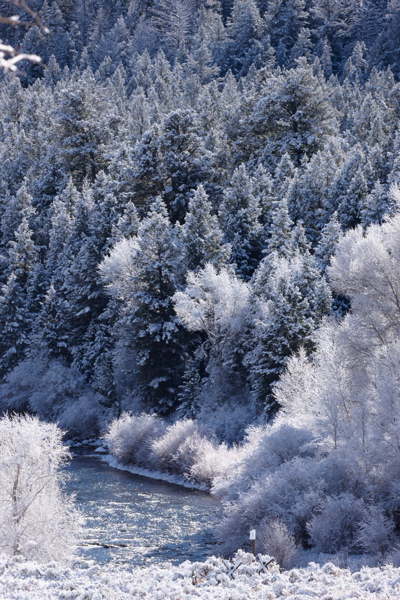 drewdoggett's tweet photo. Off the beaten path in the Tetons... we took to calling this area ‘Winter Wonderland’ and you can see why! #greatnorthco #modernoutdoors https://t.co/bmpapINevv