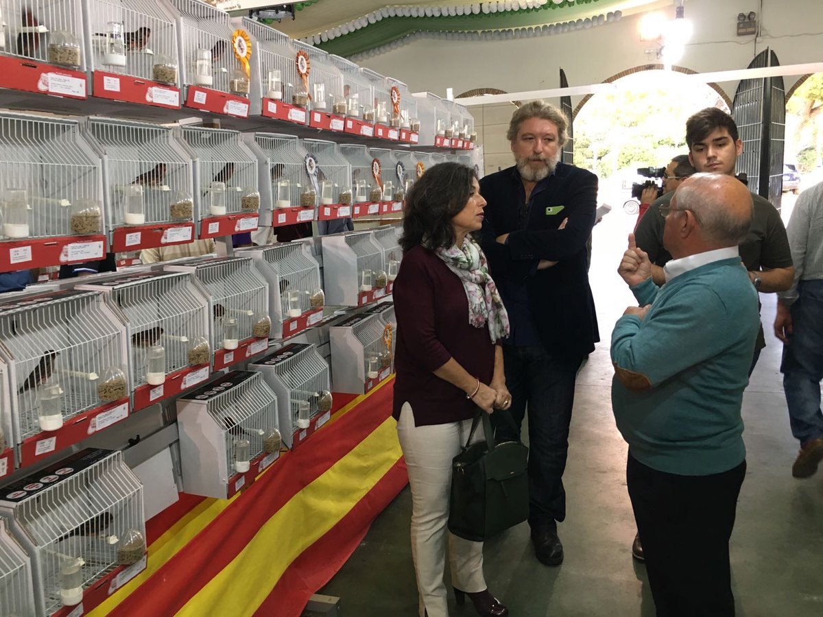 MaribelPeinado_'s tweet photo. Un año más en la inauguración del XXXIX concurso-exposición de canaricultura de Puerto Real https://t.co/dK8XTeqUOZ