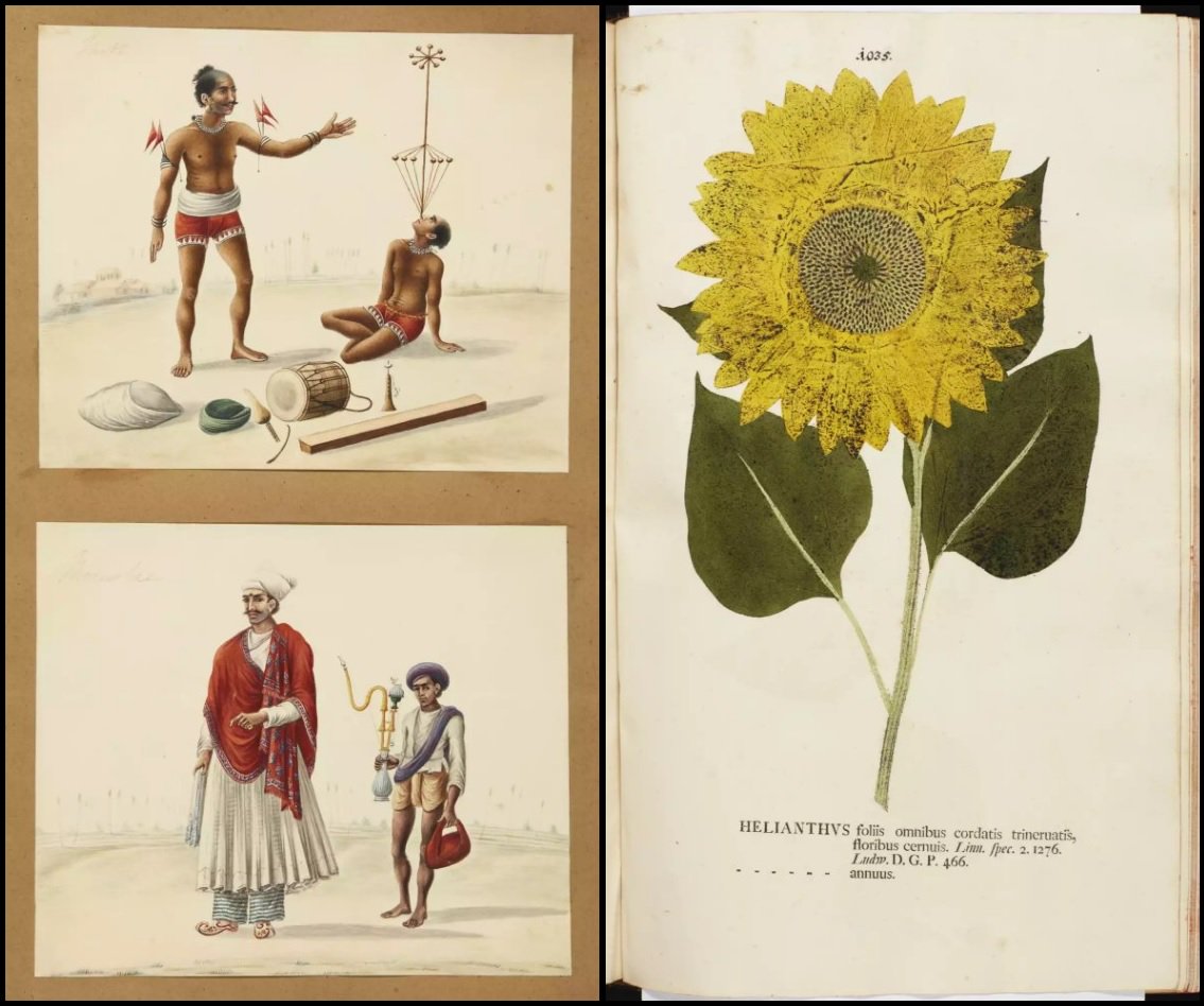 Travel, map &amp; nat history auction catalogue sothebys.com/en/auctions/20…