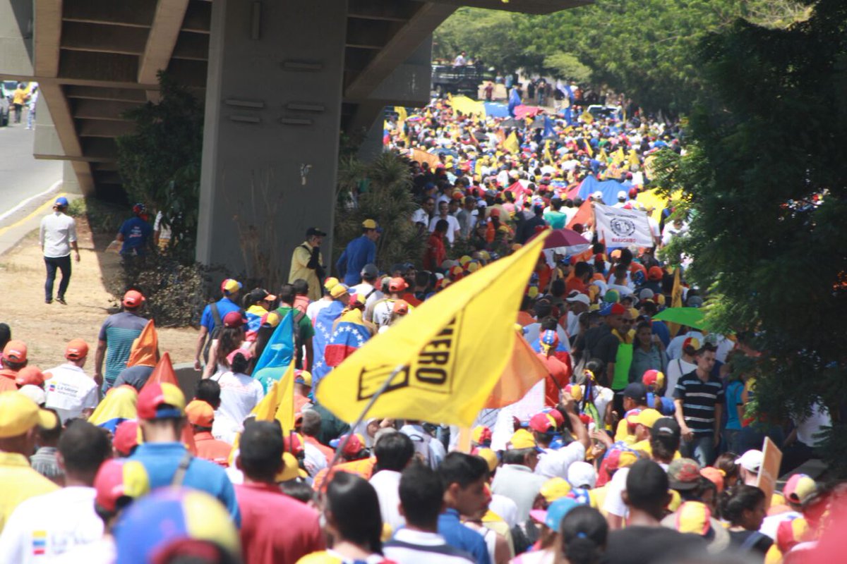 PJZulia_'s tweet photo. El 6D votaron 14 millones de venezolanos por una nueva AN, hoy son más los que quieren REVOCATORIO 2016. ¡Sí se puede! #LaTomaDeVenezuela https://t.co/GJwjjBmJvv