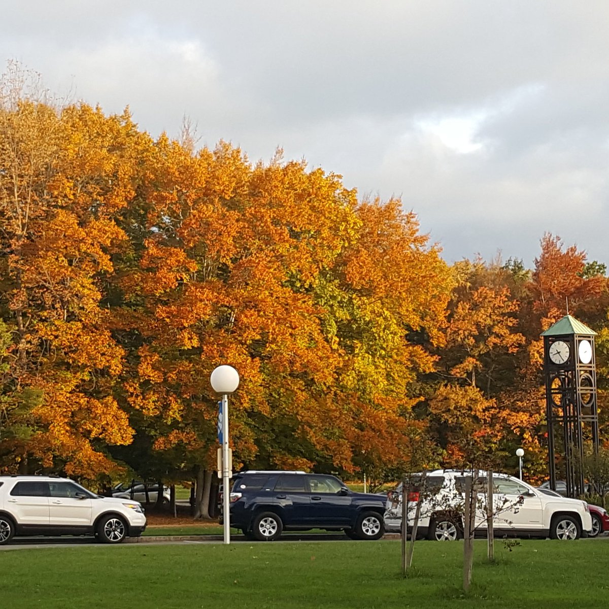 FredoniaU's tweet photo. Another beautiful day on campus!  #FREDinfall https://t.co/qcYtbuyf9i