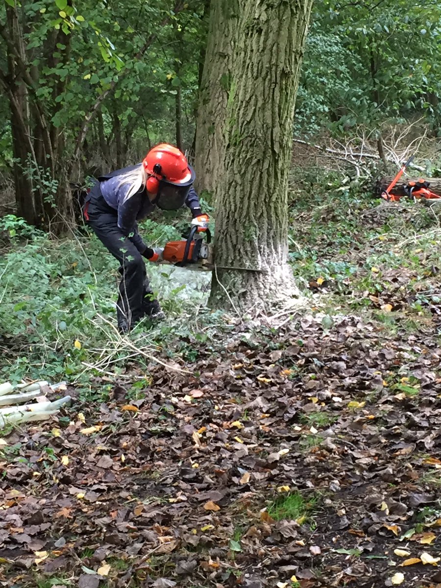 ERCTIps's tweet photo. Chainsaw Course Day 3 ✅ #impressiveteam #girlsinthewood @hillholtwood @ApisInfo @PlunkettFoundat @localwoodswork @NBNforestschool https://t.co/g1lYFrrnsa