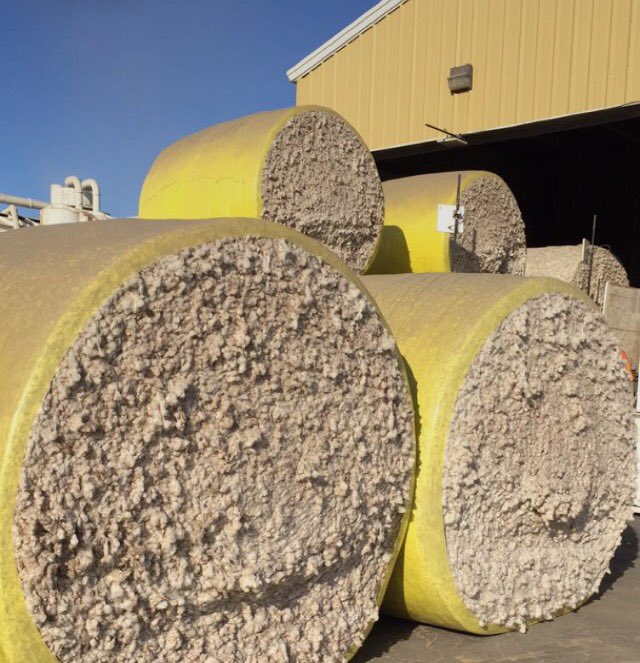 BrooksBrothers's tweet photo. Cot on camera: newly-packed @Supima cotton bales. #BBLovesSupima https://t.co/z1n8siYvUD