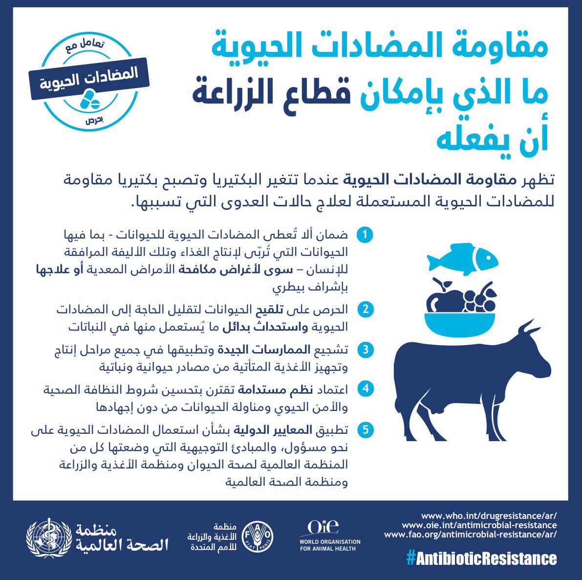 صورة ذات صلة