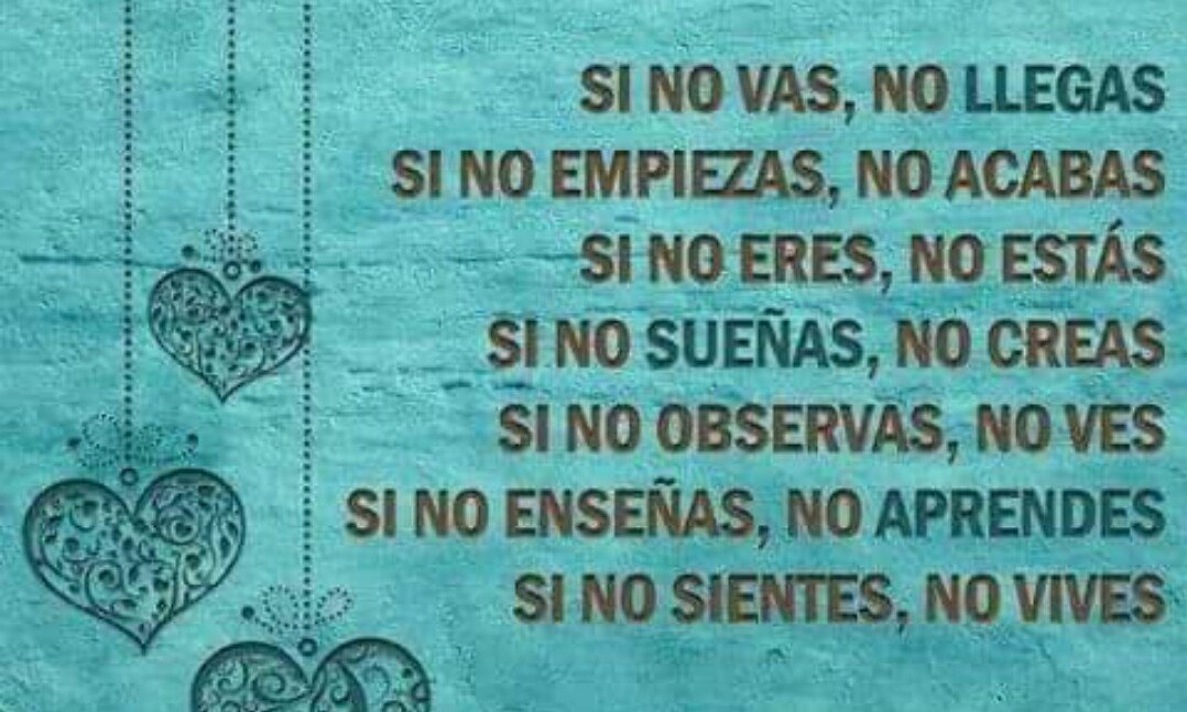dova9025's tweet photo. @MariaMinoumi2 @rsoria_inaki @DebbieRosseth @GiffardA @JorgeOfitas @Dolors111068 saludos y excelente día para todos https://t.co/qfJbwZ2egV