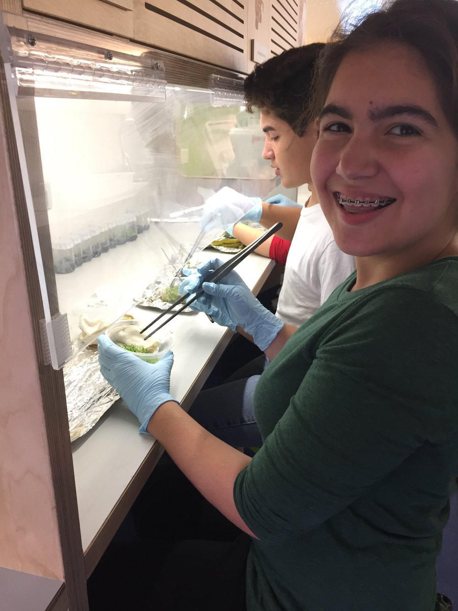 Ana Casanova tweet media