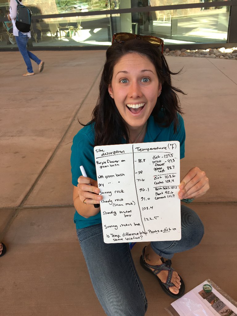 NatureBridge's tweet photo. Teachers in NatureBridge workshop go wild with temperature guns to investigate the habitat in Palm Springs @cascience https://t.co/LwMsAqlAzR