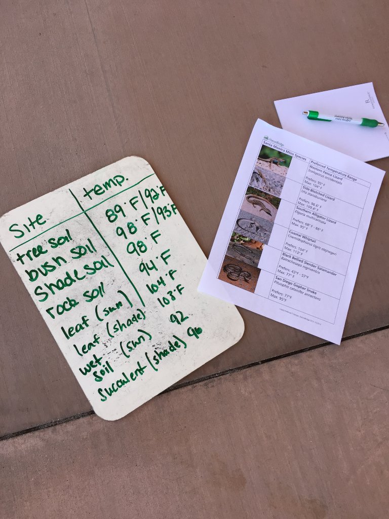 NatureBridge's tweet photo. Teachers in NatureBridge workshop go wild with temperature guns to investigate the habitat in Palm Springs @cascience https://t.co/LwMsAqlAzR